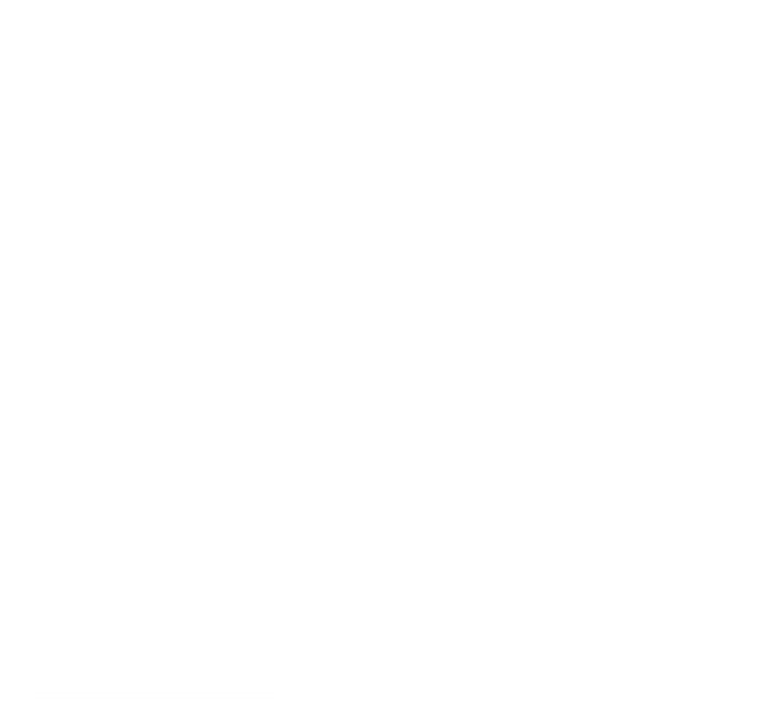 MR KING
